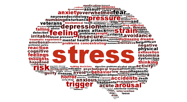 A Chain Reaction From Mental to Physical