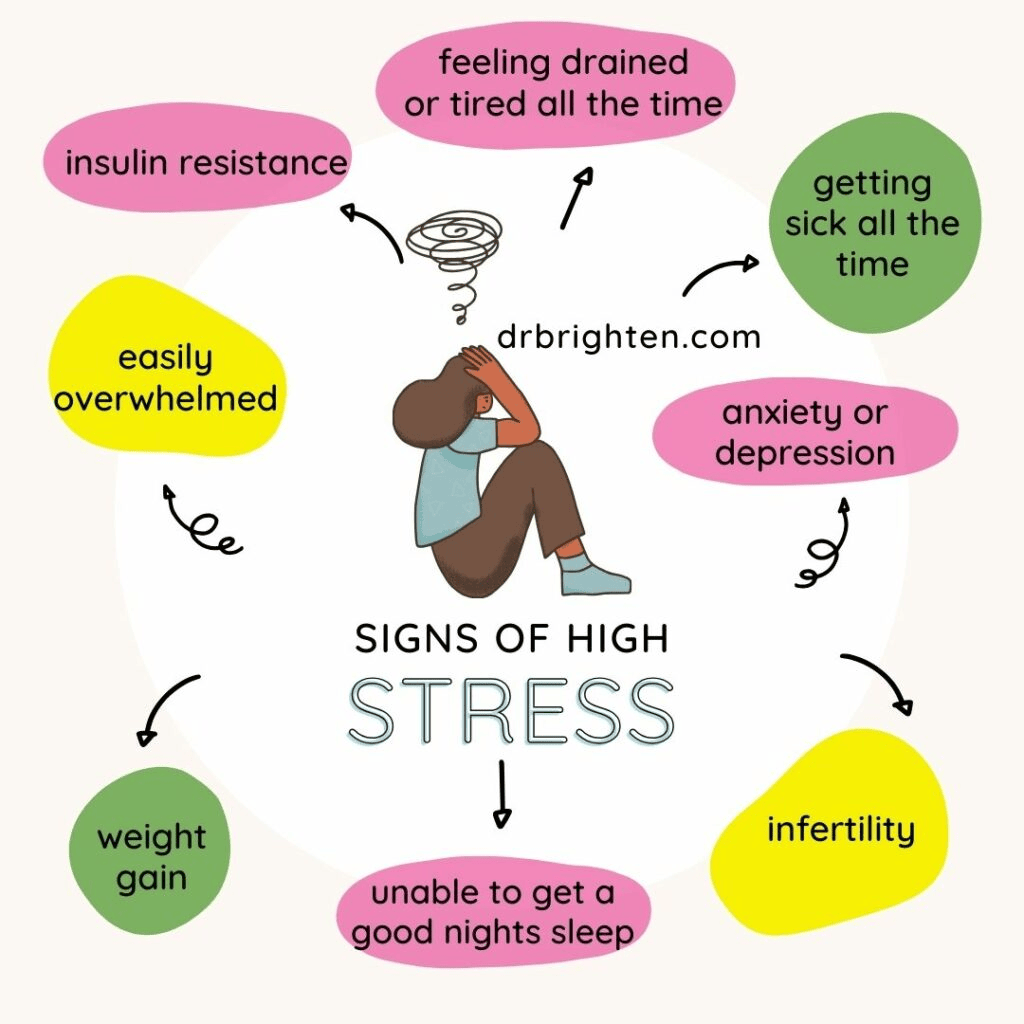 How Stress Disrupts the Body’s Natural Balance