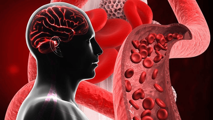 body and brain repair
